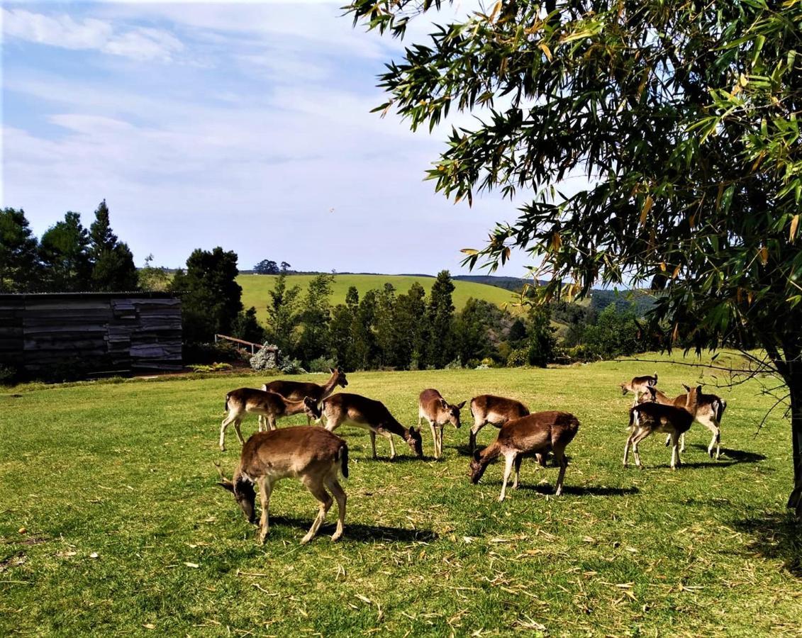 Green Hills Forest Lodge The Crags Екстер'єр фото